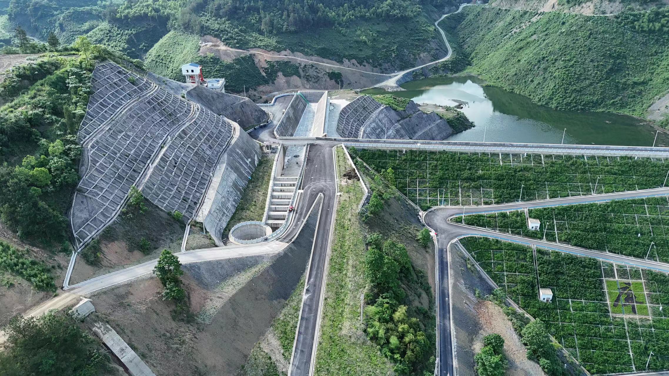 1719476156147372.jpg 1719476156147372.jpg